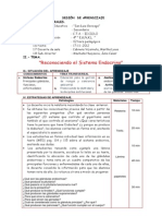 Sistema Endocrino