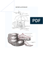 Anatomy and Physiology