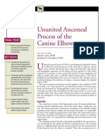 CANINE-Ununited Anconeal Process of The Canine Elbow