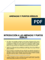 Amenazas y Puntos Débiles