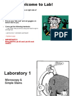 Lab 1 Microscope and Simple Stain