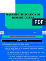 Mass Multiplication of Biofertilizer