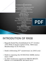 Financial Statement Analysis of RNSB