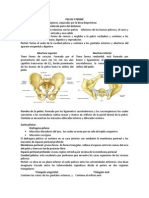 Guia Pelvis y Periné