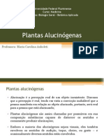 Aula 09 - Plantas Alucinógenas