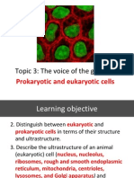 Prokaryotic and Eukaryotic Cells