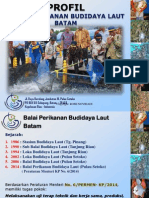 Profil Balai Perikanan Budidaya Laut Batam (Romi Novriadi)