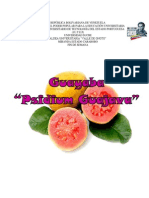 Guayaba Completo