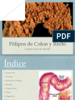 Pólipos de Colon y Recto