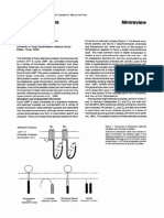 Adenylyl Cyclases Minireview: Drosophila Dictyostelium