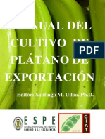 Cultivo de Platano