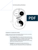 The Eight Extraordinary Qi Vessels and The Twelve Primary Qi Channels