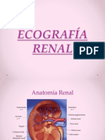 Sistema Renal .Eco