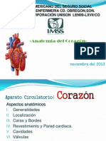 Anatomia Del Corazon