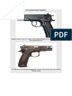 CZ PDF