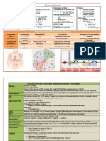 Lectura de Electrocardiograma