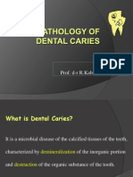 PD 4.histopathology of Dental Caries