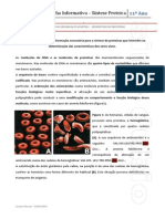 Ficha Informativa - Sintese Proteica