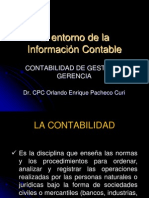  Entorno de La Informacion Contable