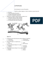 DNA RAN Prot Syn Web Practice