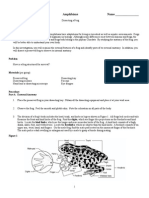 Frog Dissection A