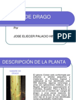 Sangre de Drago