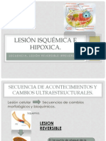 Lesion Isquemica e Hipoxica