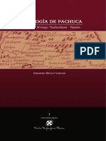 Gerardo Bravo Vargas - Etimologia de Pachuca (Pachyohcan - Maxugi, Tlaahuililpan - Ñunthe)