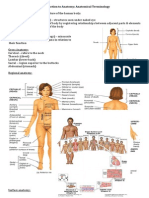 Anatomy Is The Study of The Structure of The Human Body:: Introduction To Anatomy: Anatomical Terminology