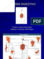 Aparato Digestivo