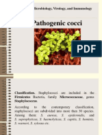 18 Staphylococci, Streptococci, Meningococci, Gonococci