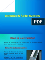 1.extracción de Ácidos Nucleicos