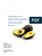 Exportacion de Aguacate