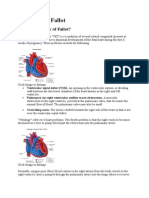 Tetralogy of Fallot