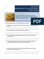 Phylogenetic Trees Click Learn Worksheet