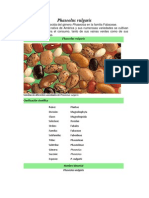 Phaseolus Vulgaris