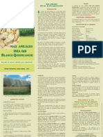 Chusca 2 PDF