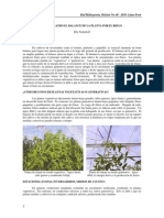 48 Balance Riego PDF