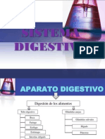 Aparello Dixestivo PDF