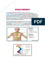 Sistema Periferico