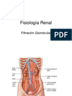 Fisiologia Renal