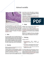 7adrenal Medulla