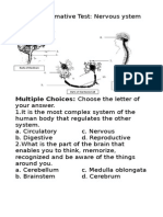 Summative Test 2.1 Nervous System For Notebook