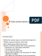 Chapter 8 The Endocrine System