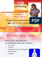 Nursing Process/Documentation Care Plan: Adpie : Hint Hint