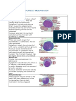 White Cell and Platelet Morphology