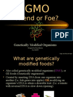 Gmo Presentation