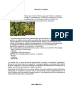 Criptogamas PDF