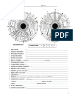 7 Diagnostico Iridología 2011