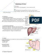 Anatomy of Liver